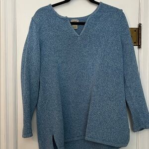 L.L. Bean Light Blue V-Neck Sweater